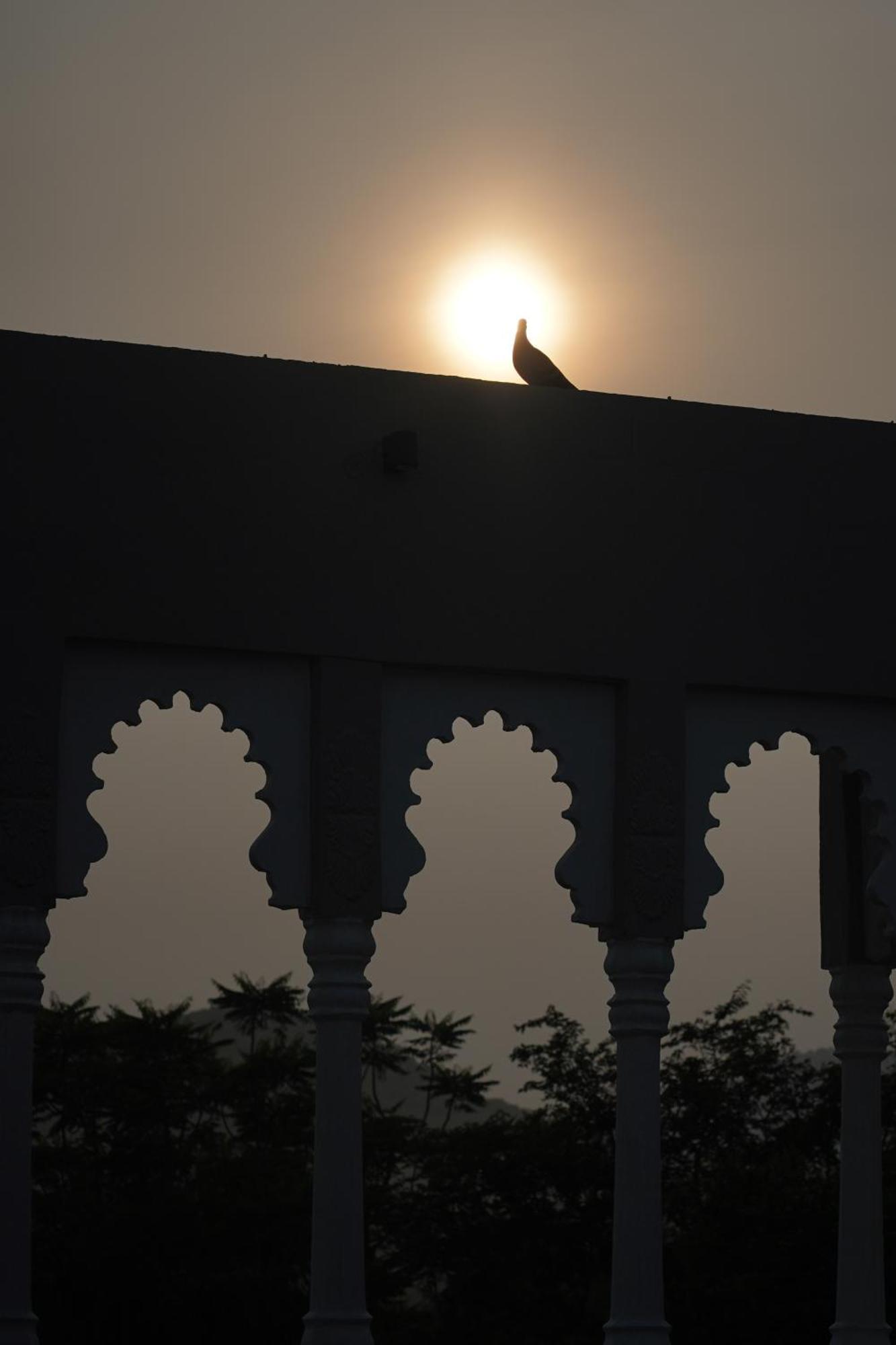 The Tiger Villa Ranthambore Atd India Group Sawai Madhopur Dış mekan fotoğraf